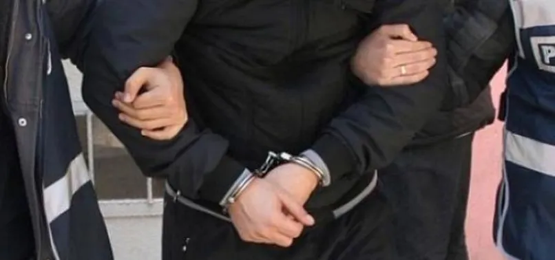 Van Başkale'de 49 göçmen yakalandı