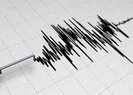 Van’da 5 şiddetinde deprem
