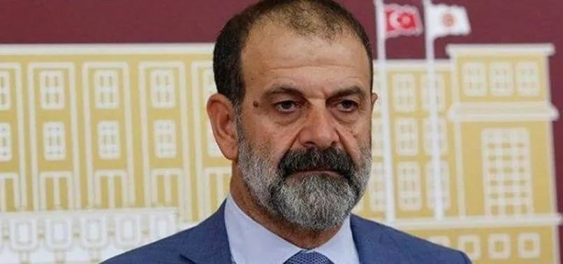 HDP eski milletvekili Tuma Çelik tecavüz etmişti! Yaşadığı dehşeti bu sözlerle anlattı