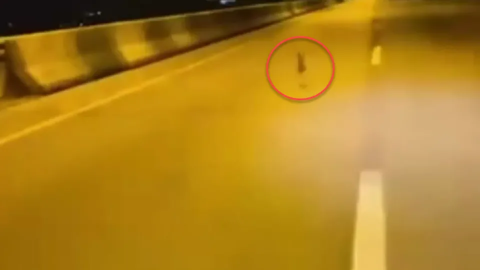 Bursa’da ilginç anlar! Hemen telefona sarılıp yarışmaya başladı