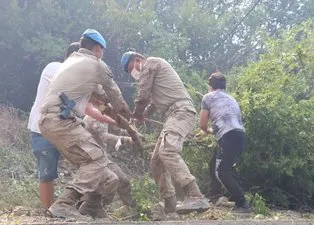 Binlerce Mehmetçik yangın bölgesinde! Jandarma Genel Komutanlığı açıkladı
