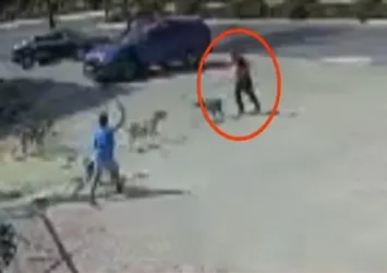 Pitbull 8 yaşındaki çocuğa saldırdı