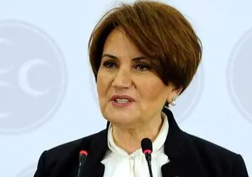MHP'de Meral Akşener'i destekleyen teşkilatlar feshedildi