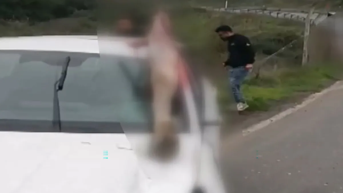İstanbul'da feci kaza! Atın kopan bacağı otomobilin camına saplandı