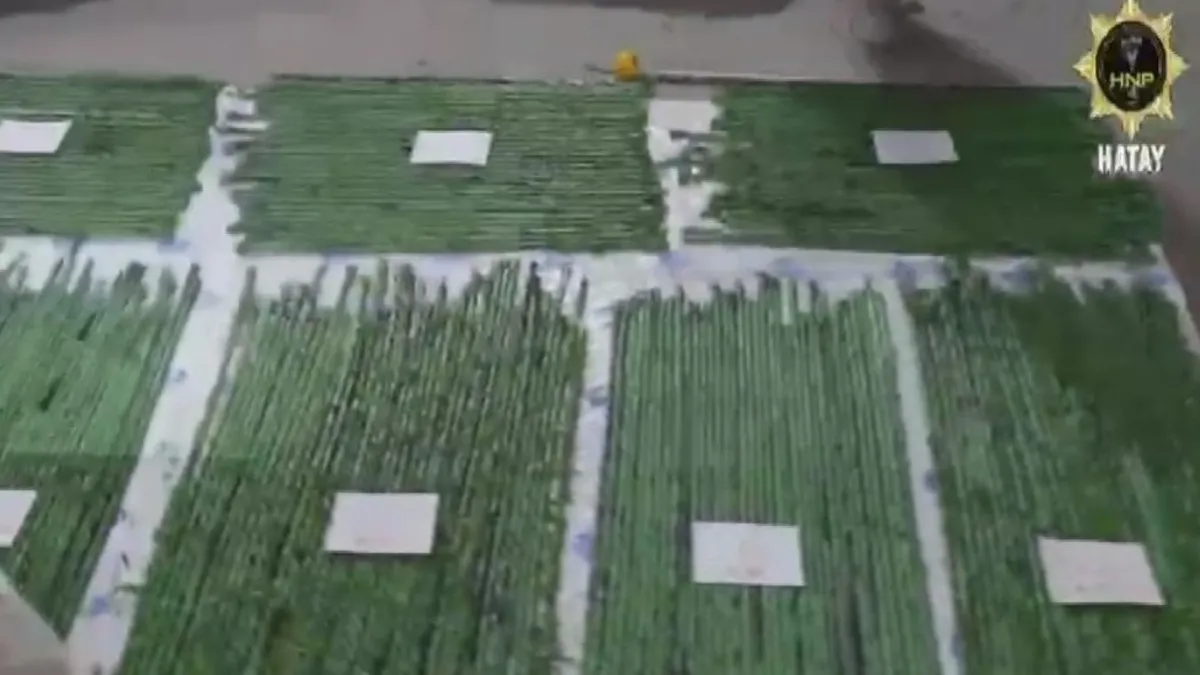 Hatay'da çimlerin arasında saklanmış binlerce uyuşturucu hap ele geçirildi