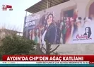 Yine CHP yine ağaç katliamı!
