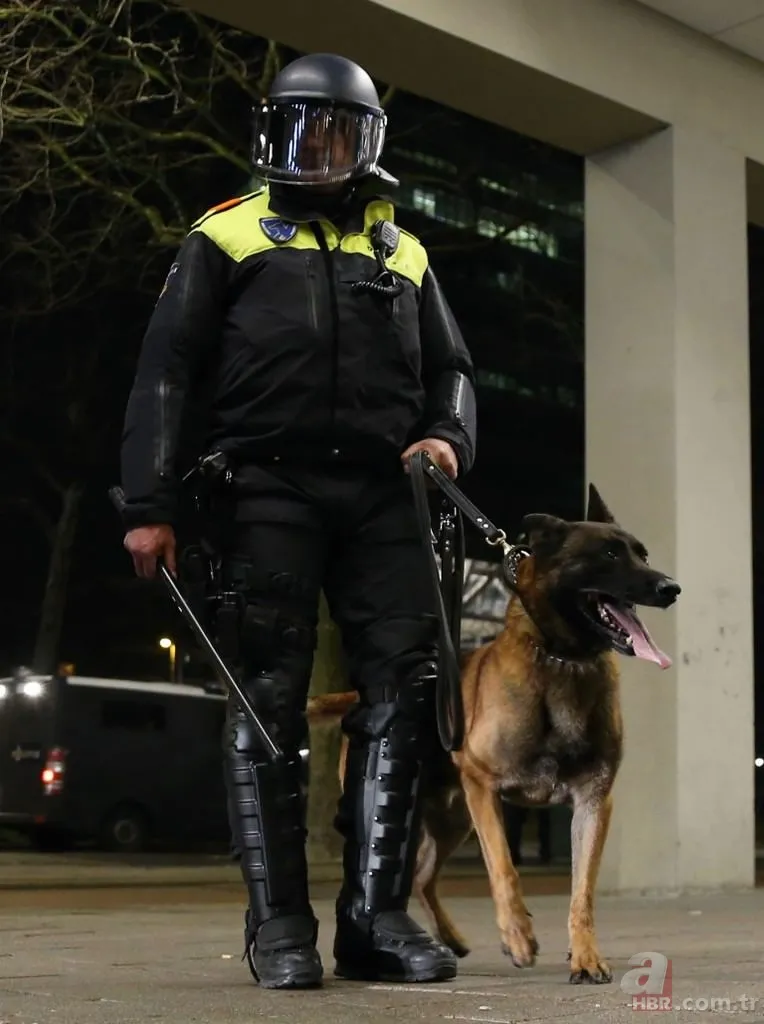 Hollanda'da Türk vatandaşlarına polis köpekleriyle müdahale 5