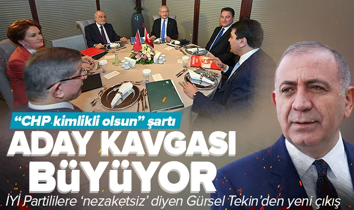 Gürsel Tekin: 2023 adayı CHP kimlikli olmalı
