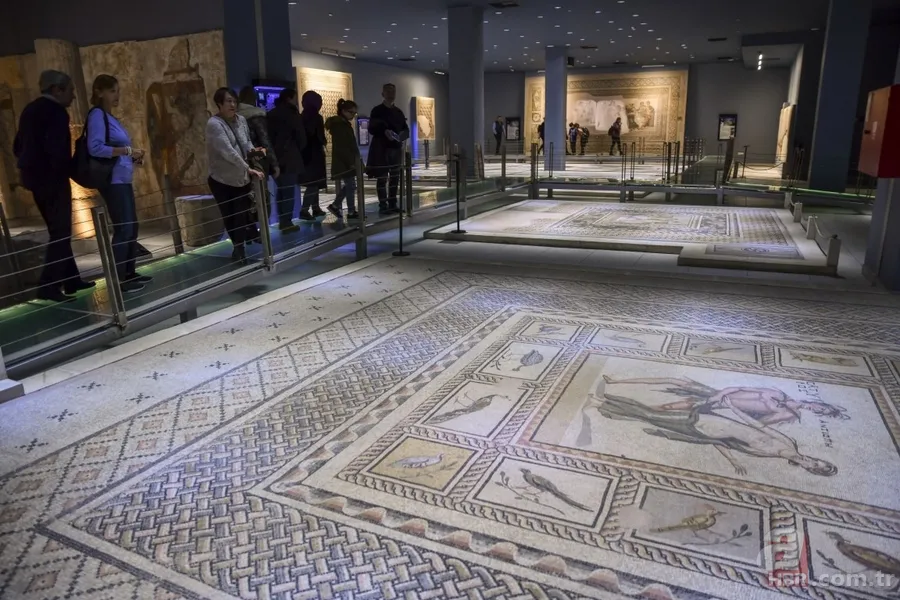 'Çingene Kızı' mozaiği Türkiye'ye getirildi 16