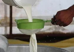 Çiğ süt üreticilerine ilave destek ödemesi: Yeni düzenleme Resmi Gazete'de