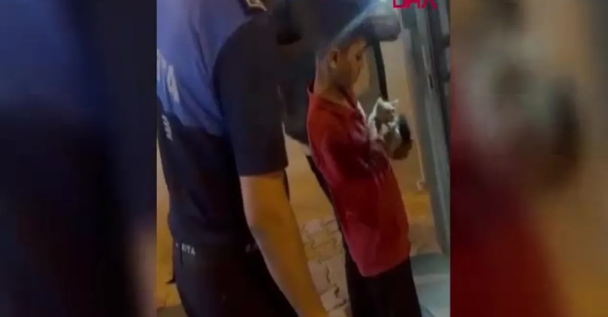 Yavru kedi reklam panosunda mahsur kaldı