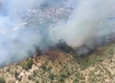 Aydın Germencik’te orman yangını