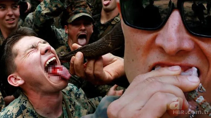 Yılan kanı içiyorlar! Askerlerin korkunç tatbikatları ’bir sonraki salgını tetikleyebilir’