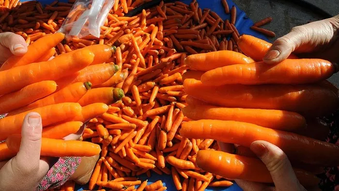 ac-karnina-havuc-yemek-bakin-neye-iyi-geliyor-2-tane-yiyin-o-soruna-veda-edin-1719753159283.jpg Aç karnına havuç yemek bakın neye iyi geliyor? 2 tane yiyin, o soruna veda edin! - 3