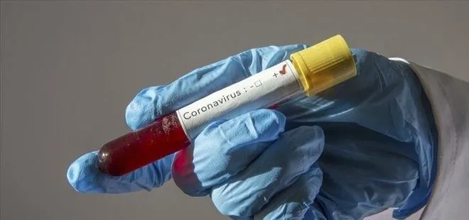 Son dakika: Brezilya Meksika ve Hindistan’da koronavirüs kaynaklı ölümler artıyor