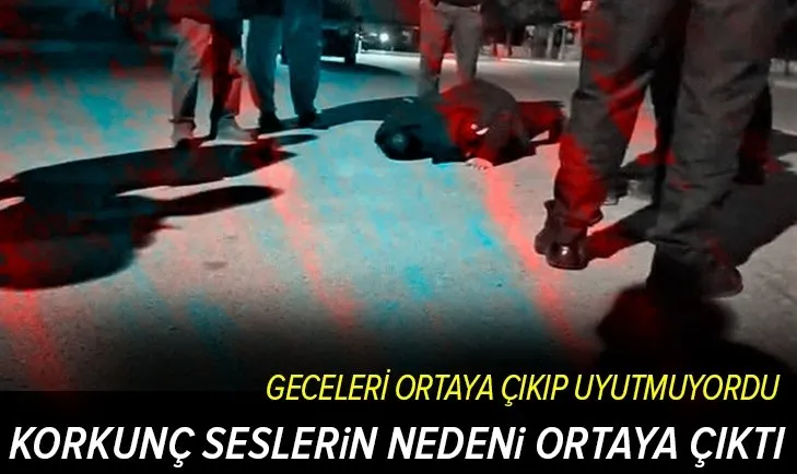 Son dakika: Denizli'de yer altından gelen ürkütücü seslerin nedeni belli oldu