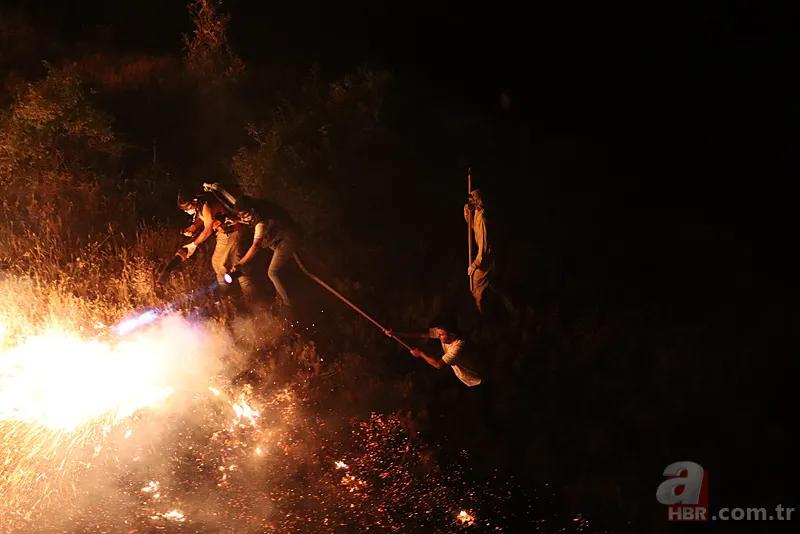 Türkiye yangın risk haritası 2025 | Hangi şehirlerde yangın tehlikesi altında? afetharitasi.org 5