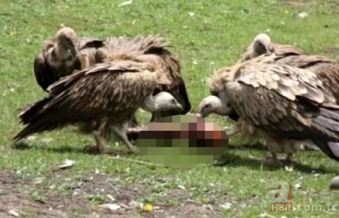 Bursa’da korkunç gelenek 200 yıldır devam ediyor! Derileri giyip… 17