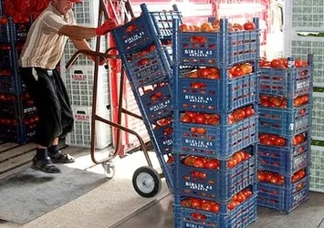 Rusya'ya ihracat artışı yüzde 50'yi aştı