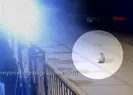 kamyonetin altında ezilen köpek öldü