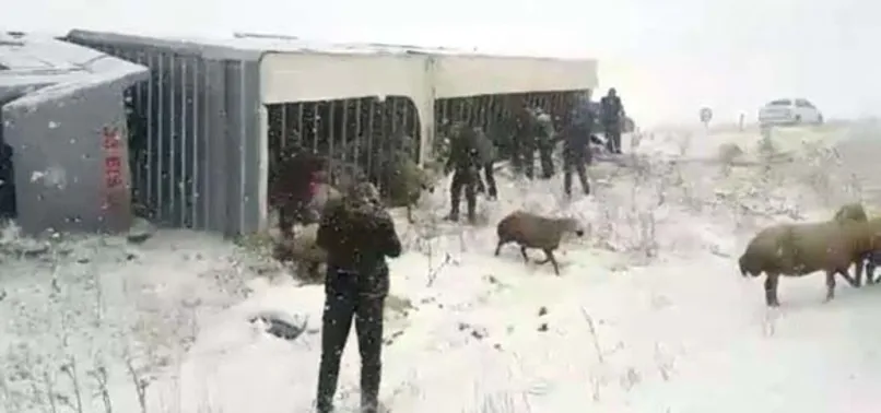 Sivas'ta feci olay! Gören oraya koştu...