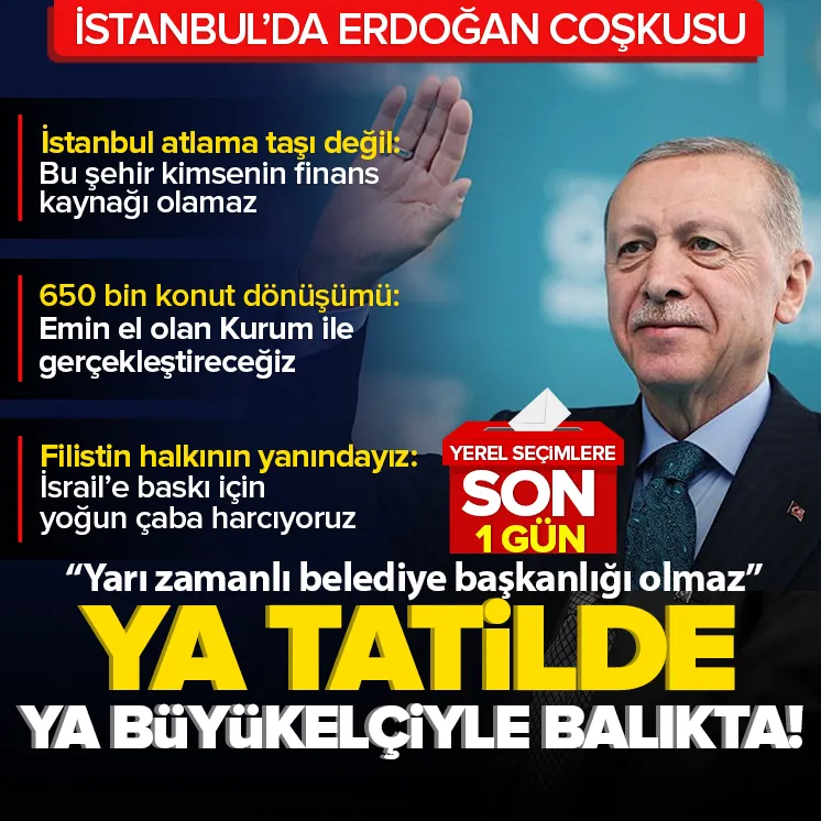 Başkan Erdoğan: Ya tatilde ya büyükelçiyle balıkta...
