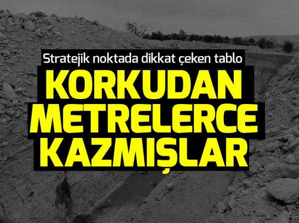 ABD, teröristlerle iş birliğini resmen açıkladı - 4