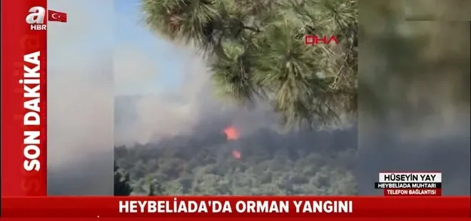 Son dakika: İstanbul Heybeliada’daki yangının sebebi ne? A Haber canlı yayınında açıkladı