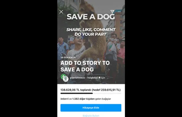 Instagram Save A Dog bağışı nedir, amacı ne? Çin Yulin Köpek Eti Festivali'ne 'DUR' kampanyası! - 1