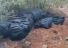 Muğlada uyuşturucu operasyonu