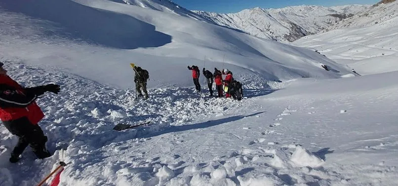 Son dakika: Hakkari'deki çığ felaketinde şehit sayısı 2'ye çıktı