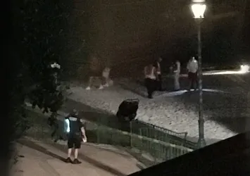 ABD'de timsah, 2 yaşındaki çocuğu kaptı