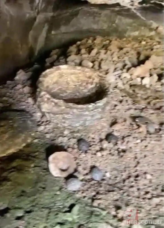 Çoban toprak kayınca keşfetti! Milattan önce 10 bin yılından kalma tatlı bulundu 9