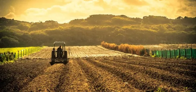 Arazi sahibi olanlar dikkat! Devletten kiralık tarla dönemi