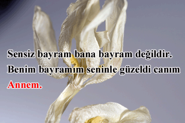 Kurban Bayramı içten, duygulu cep telefonu mesajları: Eşe, dosta, akrabaya en güzel bayram sözleri...