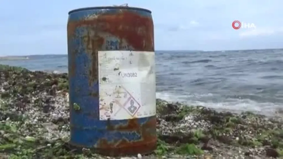 Bölge halkı endişeli! Tehlike kıyıya vurdu