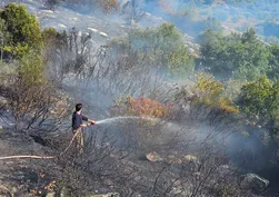 Marmara Adası’nda çalılık yangını! Ekipler yarım saatte kontrol altına aldı
