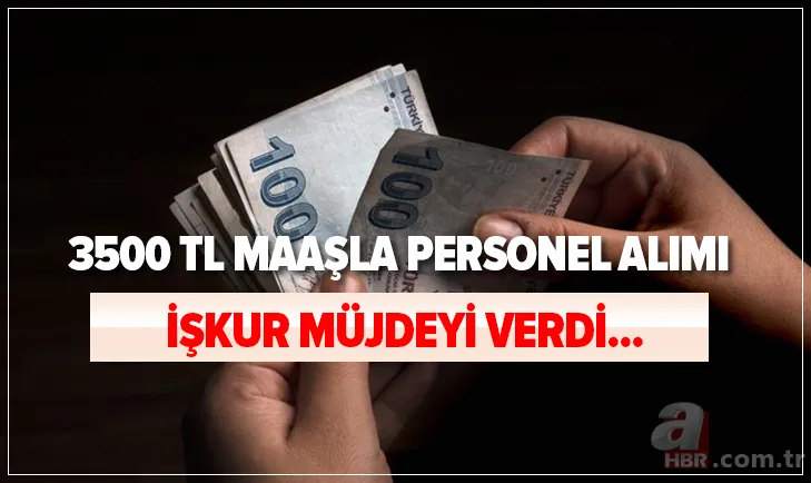 İŞKUR müjdeyi verdi! KPSS şartı olmadan ilkokul mezunu 3500 TL maaşla personel alımı! Zahmetsiz... 1