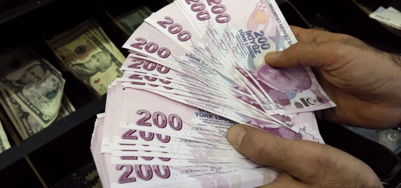 Başvurular e-Devlet'ten: İhtiyaç sahiplerine 1.000 TL verilecek