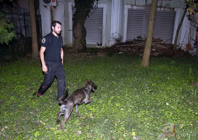 Vahşice katledilen Cemal Kaşıkçı’nın son günleri 23