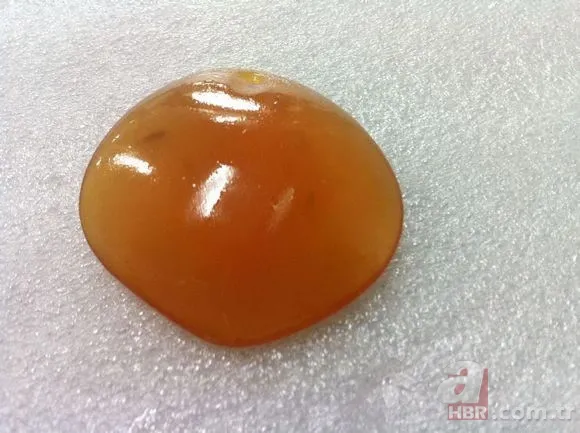 Tavuk kümesine girince gözlerine inanamadı 🐓 Beslediği tavuğun yumurtası... 19