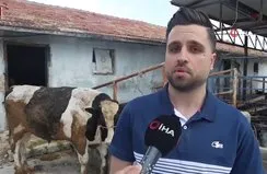 Kurbanlık almak isterken dolandırıldı