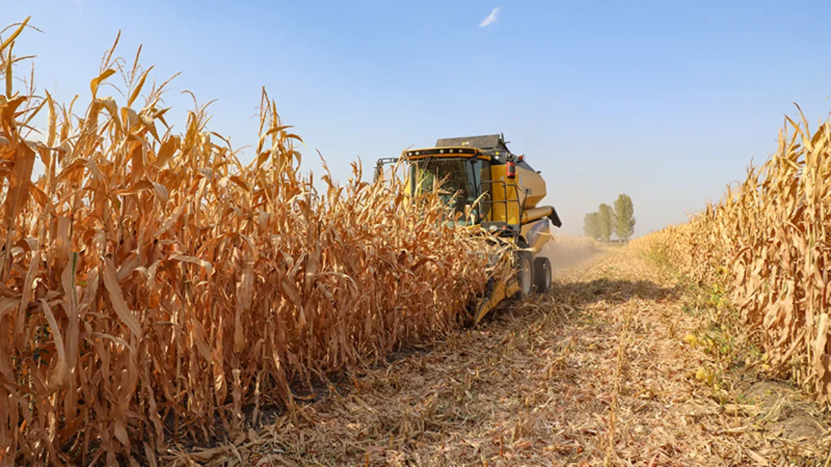 Mısır ithalatında yeni düzenleme: 1 milyon tonluk kontenjan açıldı!