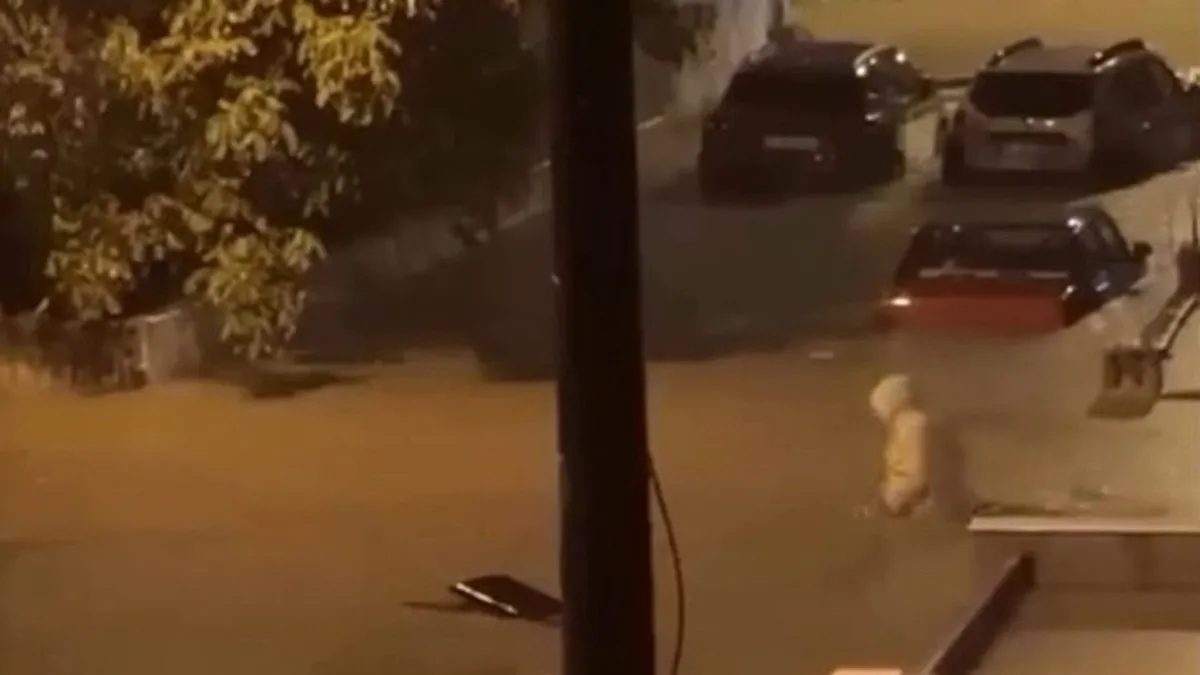 İzmir ve Manisa'da sağanak yağış: Ev ve iş yerlerini su bastı