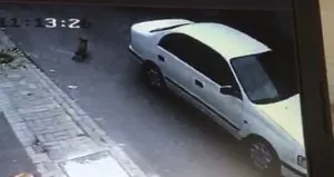 3 aylık köpeği ezip yoluna devam etti