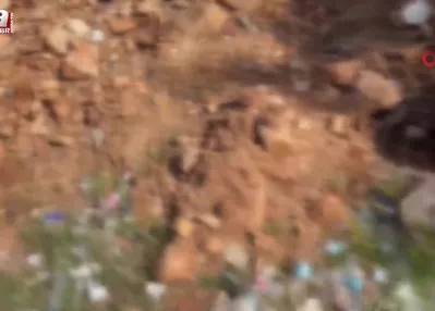 Çevreyi kirleten firmalara ceza yağdı