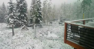 Kar fırtınası 100 milyon insanı etkiledi