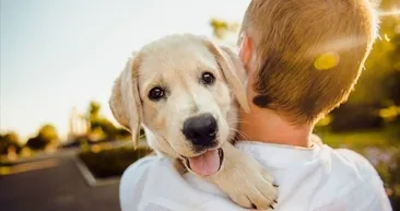 4 Ekim Dünya Hayvanları Koruma Günü Şiirleri ve Mesajları! Dünya Hayvanları Koruma Günü nasıl ortaya çıktı?