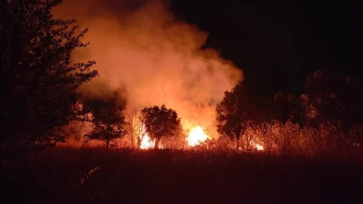 Aydın'da korkunç olay: Hediye aldığı aracı küle döndü