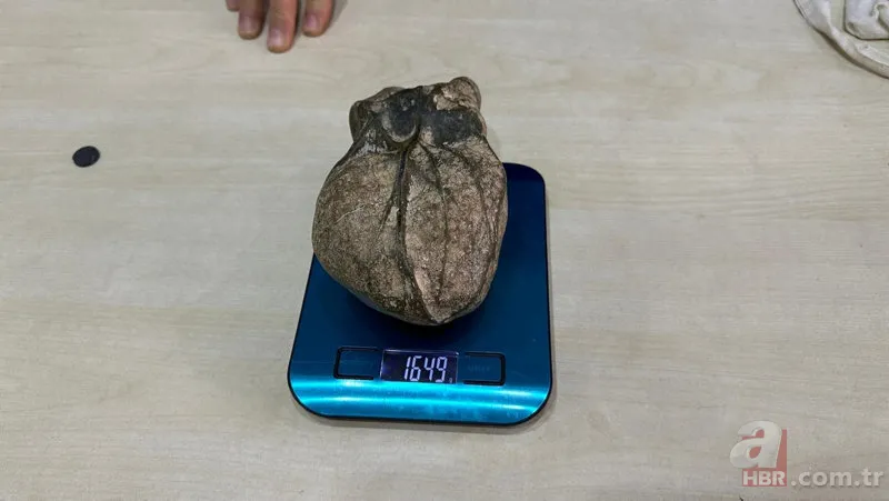 Su kanalı açarken “taş kalp” buldu! Görenler gözlerine inanamadı 5